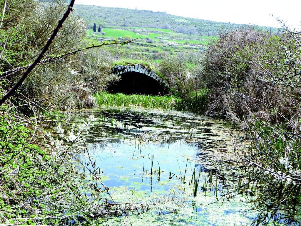 Hotel Rural Teodosio De Goni Aizpún Dış mekan fotoğraf